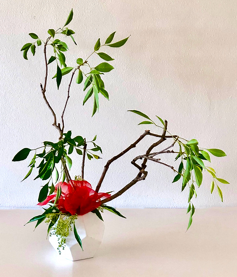 Jeanette - Eliminating excess leaves to show the line of the branch it is emphasised with the red chiffon fabric as the focal point. The fabric almost looks like a flower - great idea to use if flowers are in short supply 